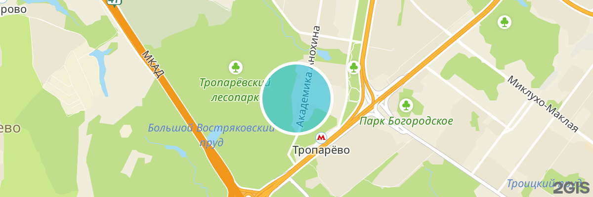 2gis map