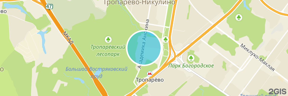 2gis map