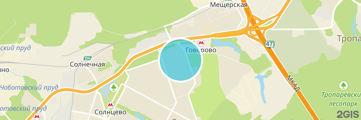 2gis map