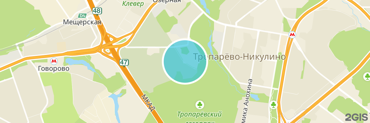 2gis map