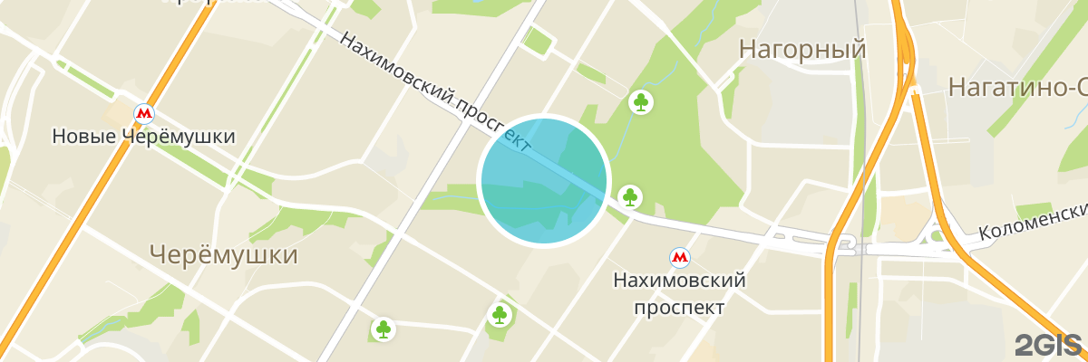 2gis map