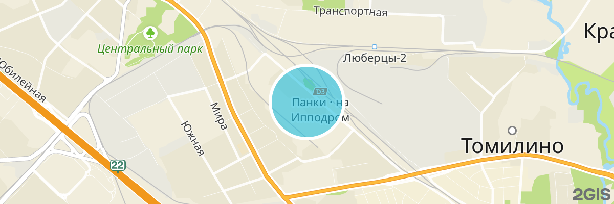 2gis map