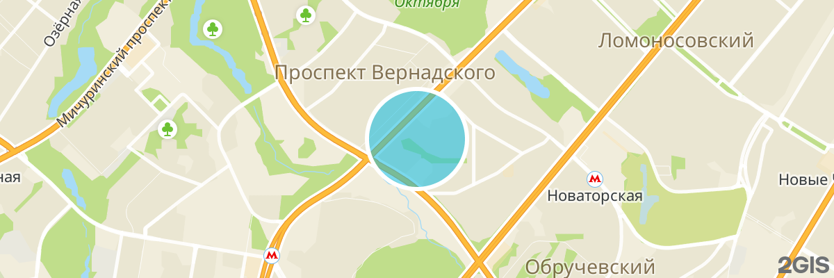 2gis map