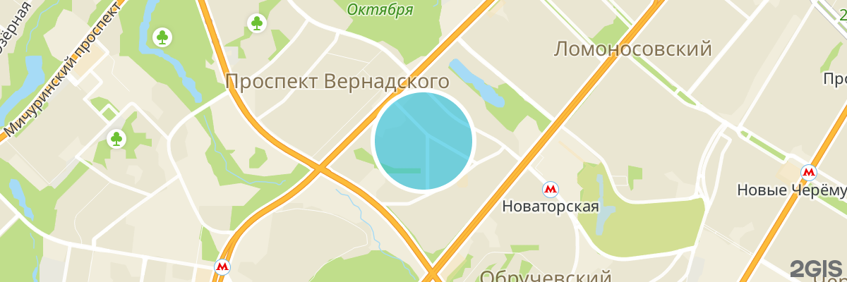 2gis map