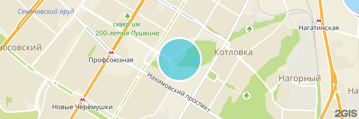 2gis map