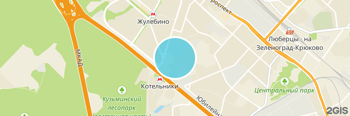 2gis map