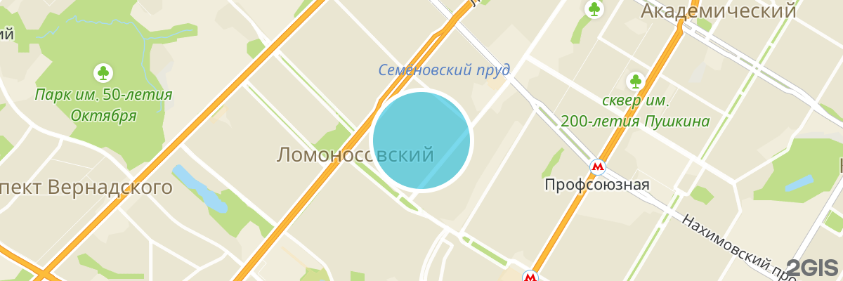 2gis map