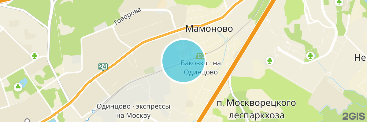 2gis map