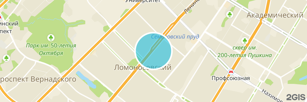 2gis map