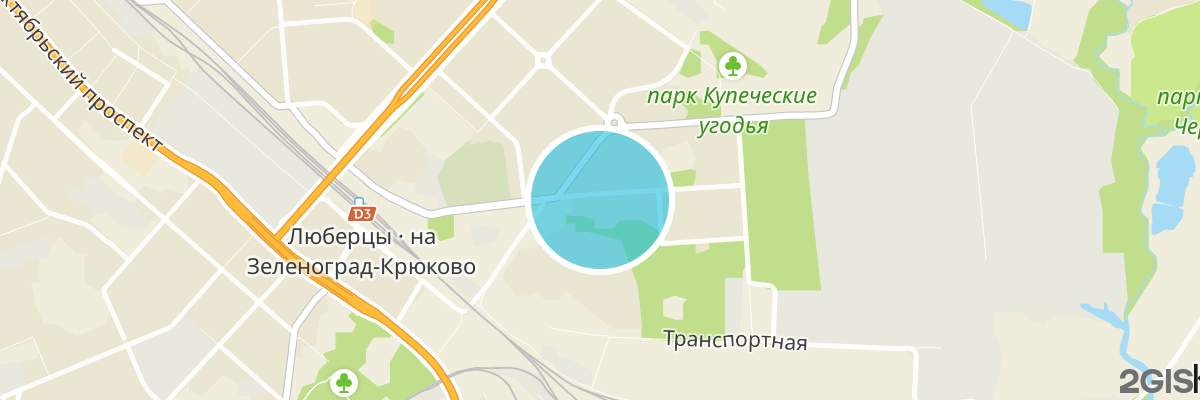 2gis map