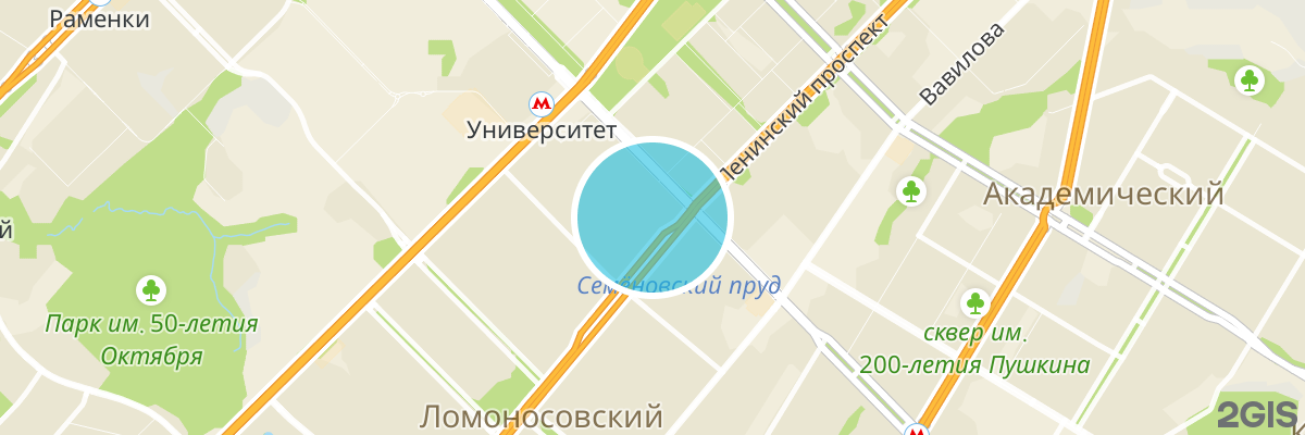 2gis map