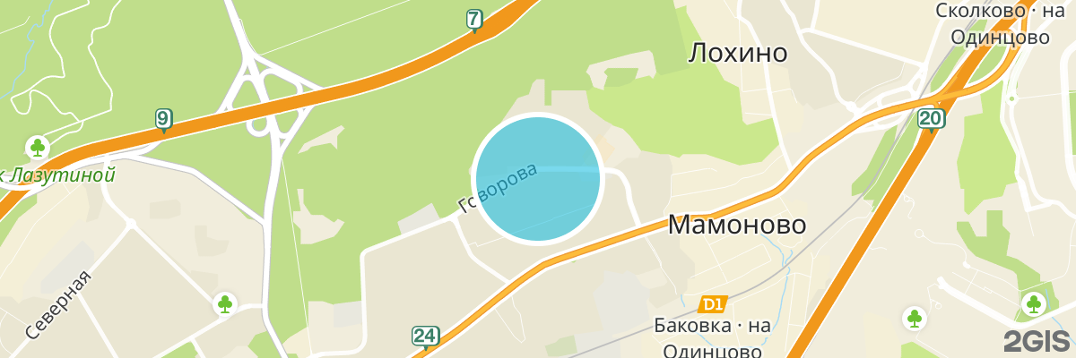 2gis map