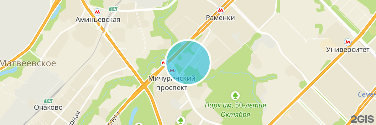2gis map