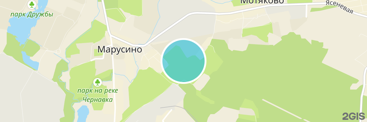 2gis map