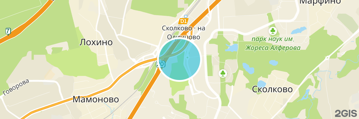 2gis map