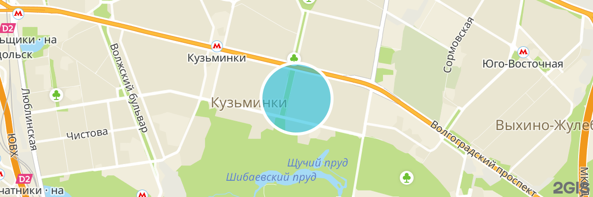 2gis map
