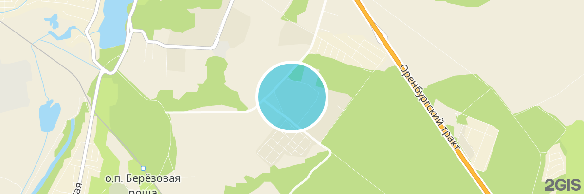 2gis map