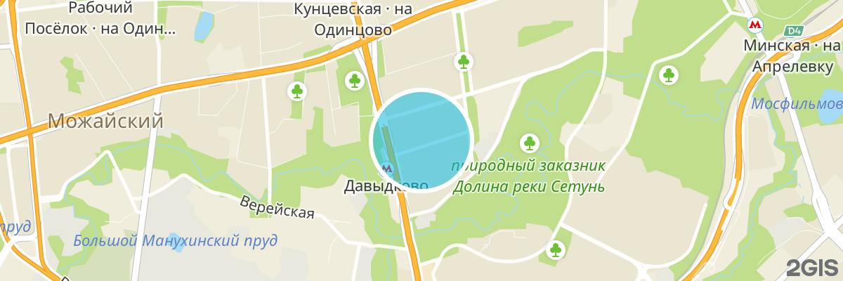 2gis map