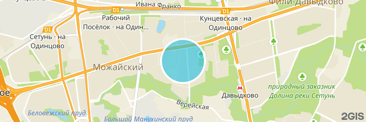 2gis map