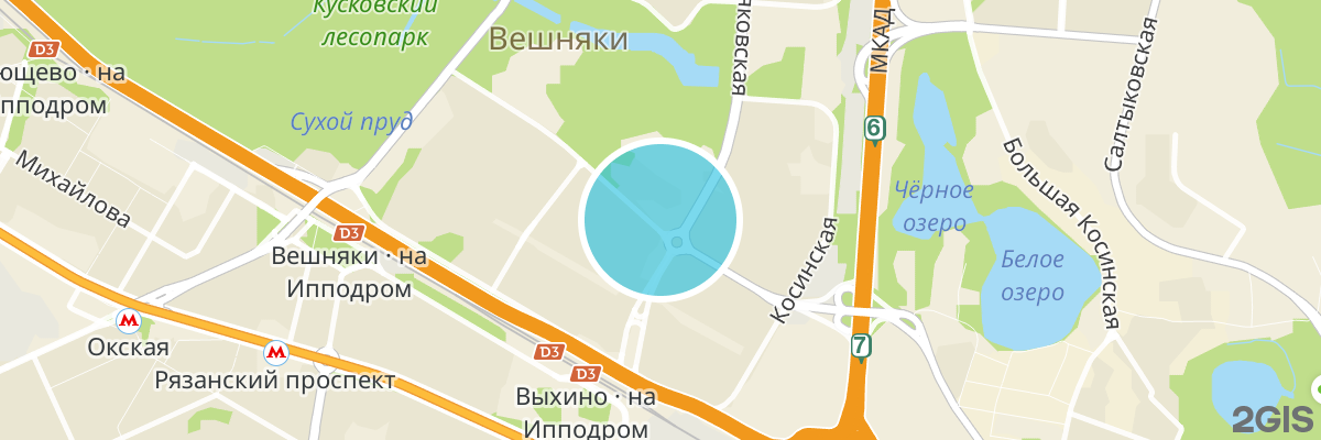 2gis map