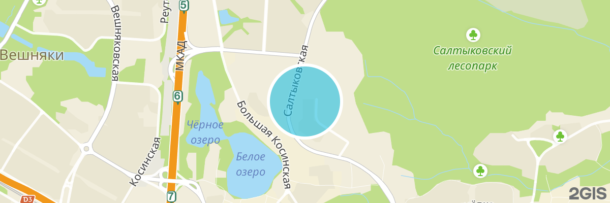 2gis map