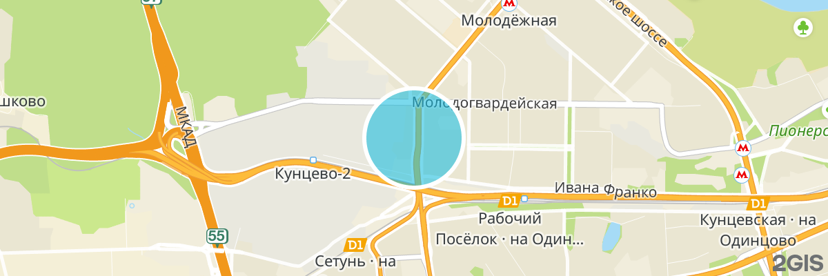 2gis map