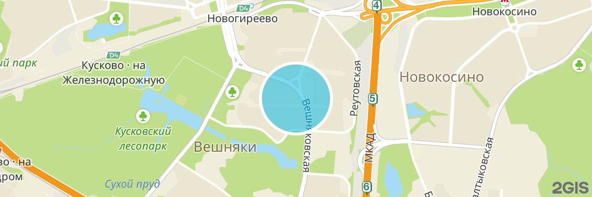 2gis map
