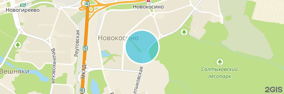 2gis map