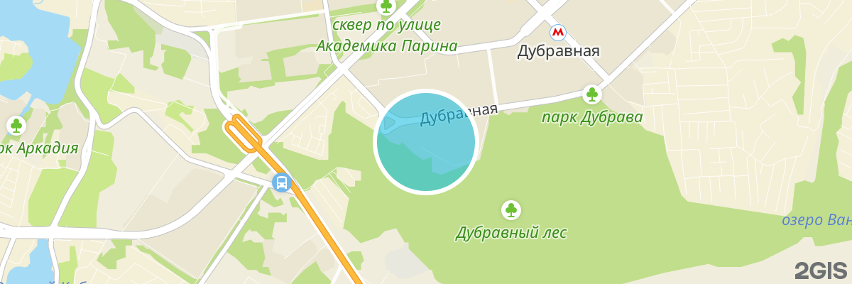 2gis map