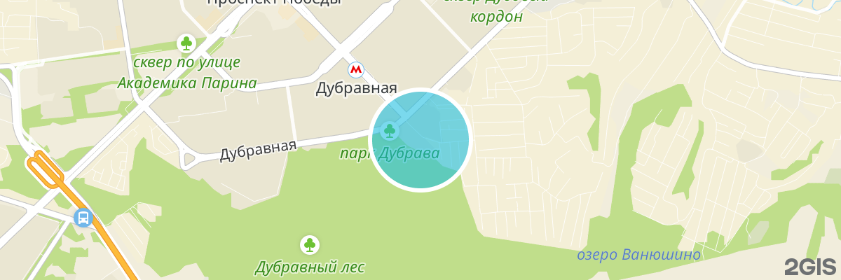 2gis map