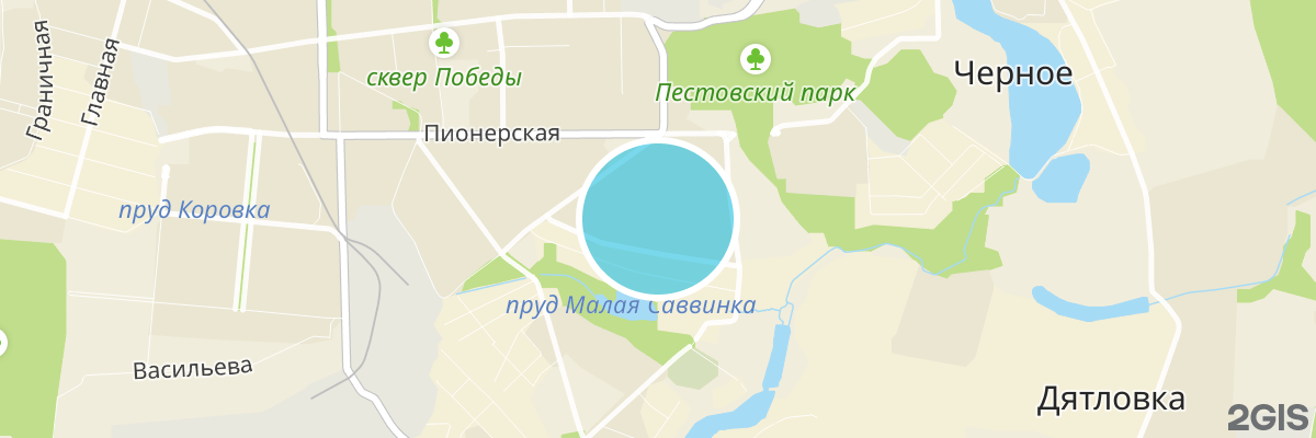 2gis map