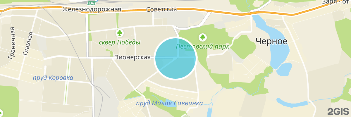 2gis map