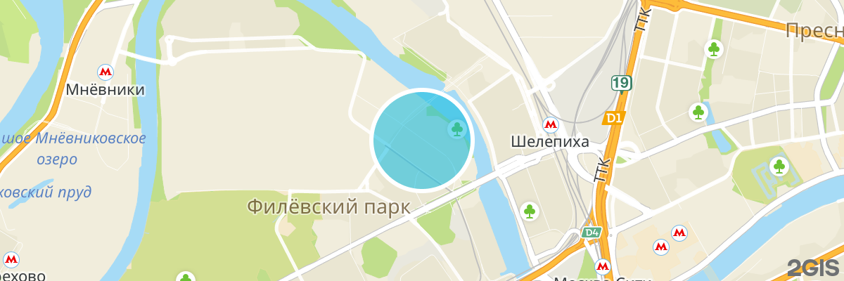 2gis map