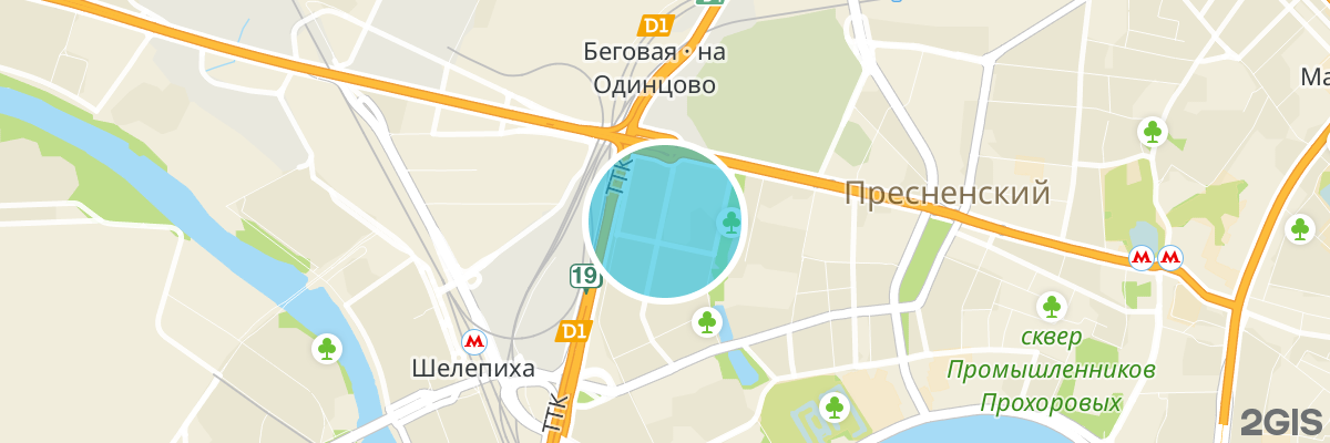 2gis map