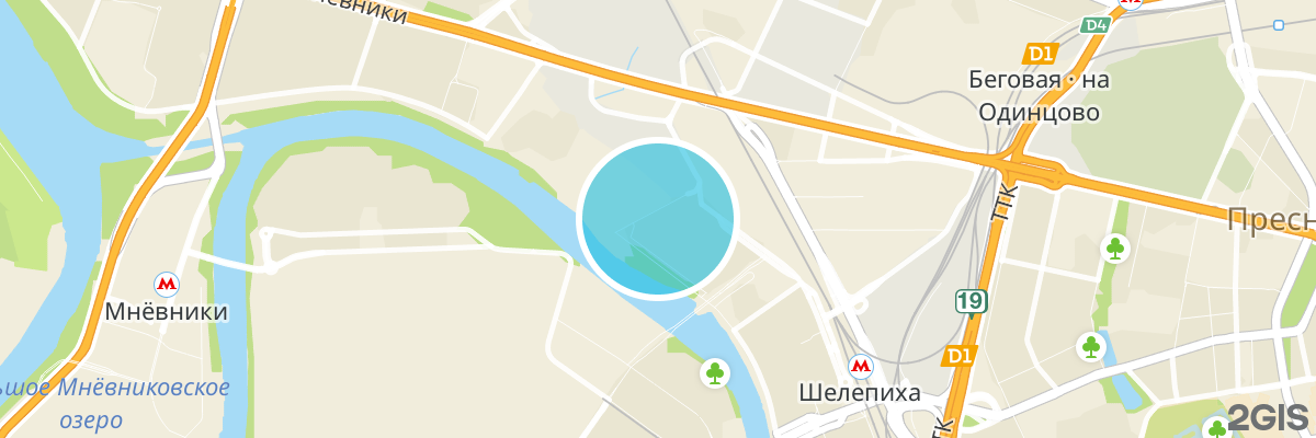 2gis map