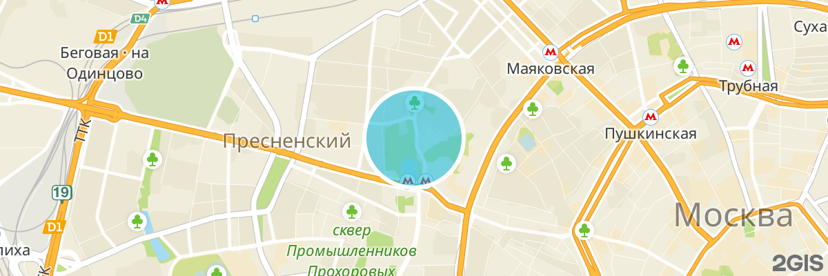 2gis map