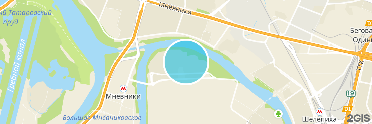 2gis map
