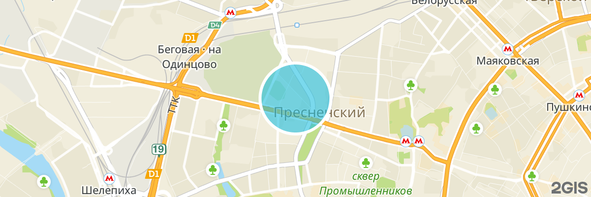 2gis map