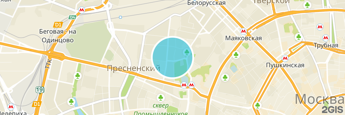 2gis map