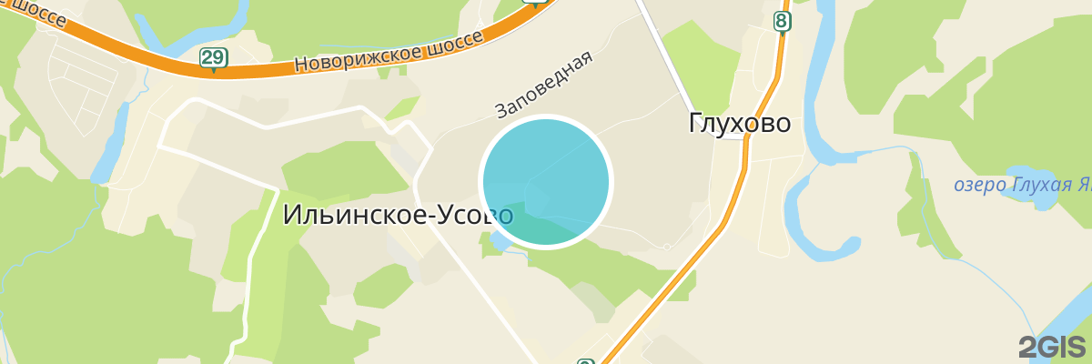 2gis map