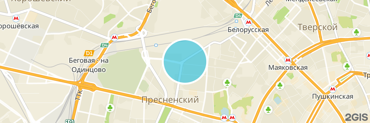 2gis map