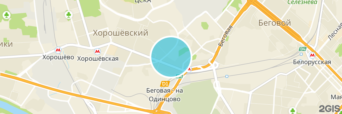 2gis map