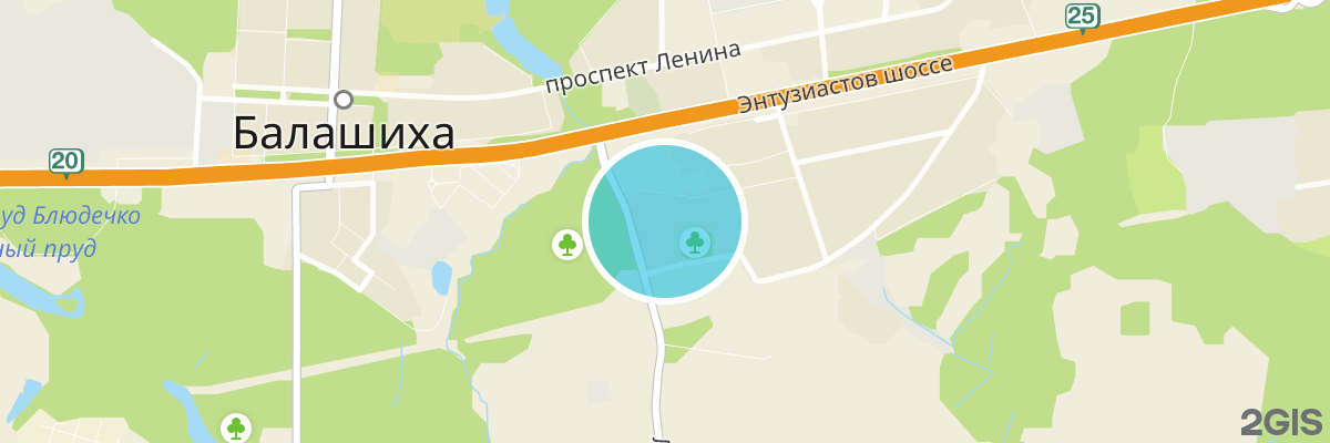 2gis map