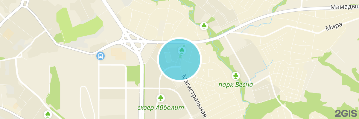 2gis map