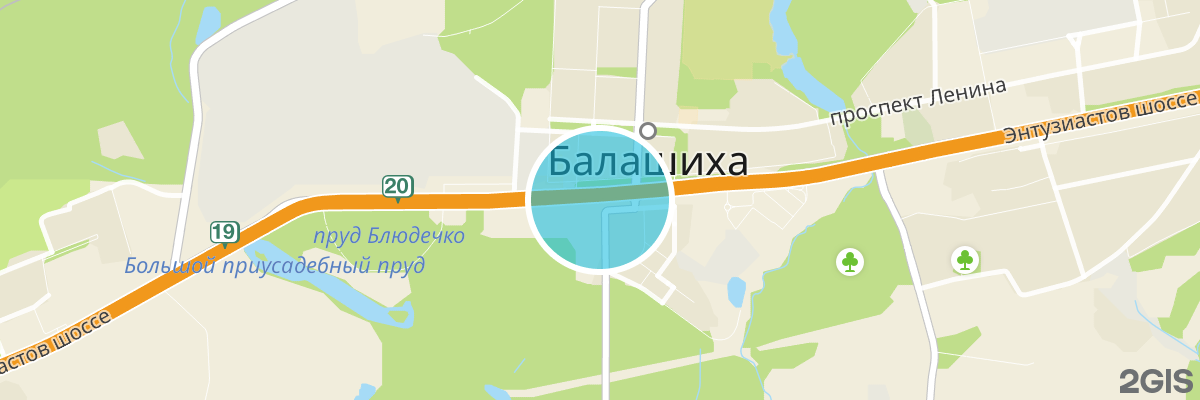 2gis map