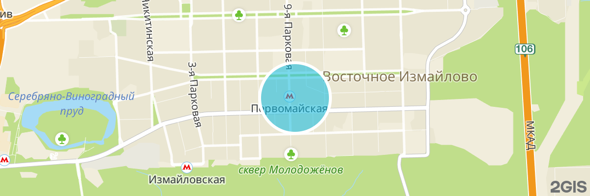 2gis map