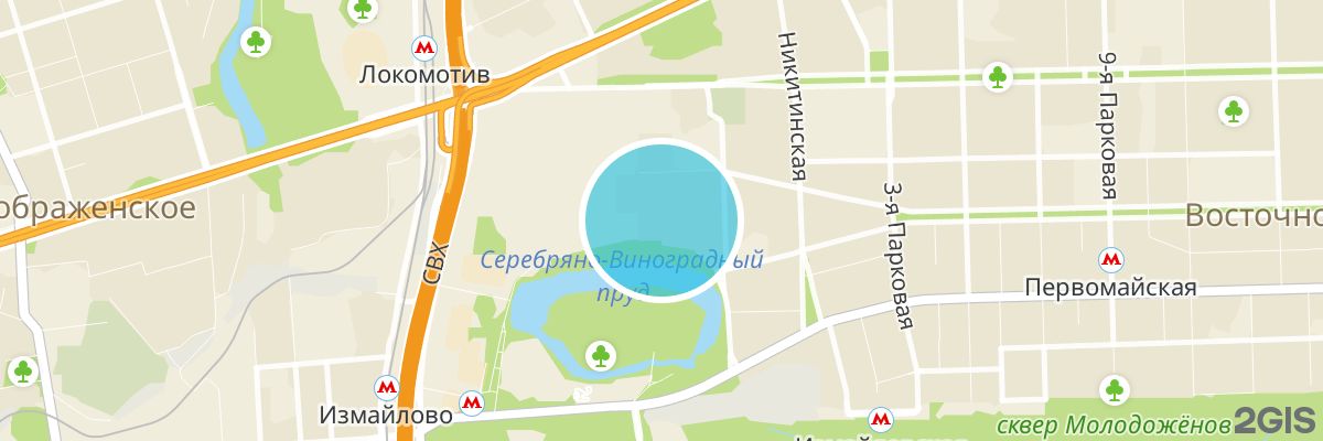 2gis map