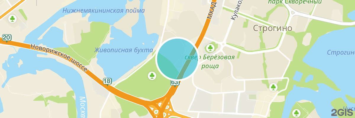 2gis map