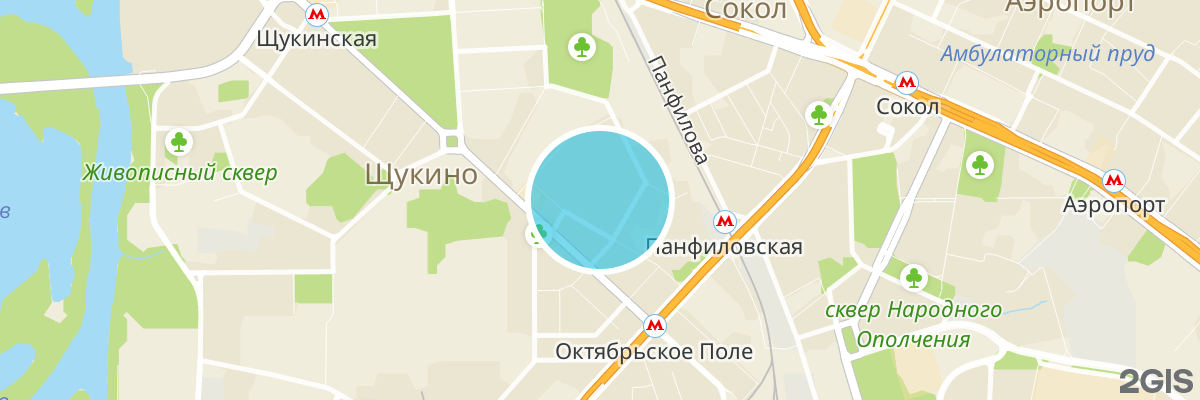 2gis map