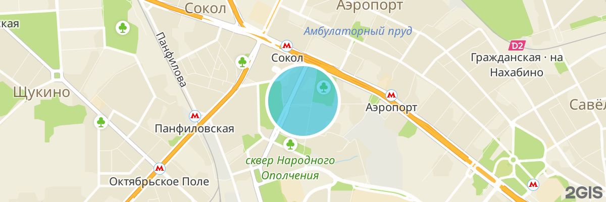 2gis map